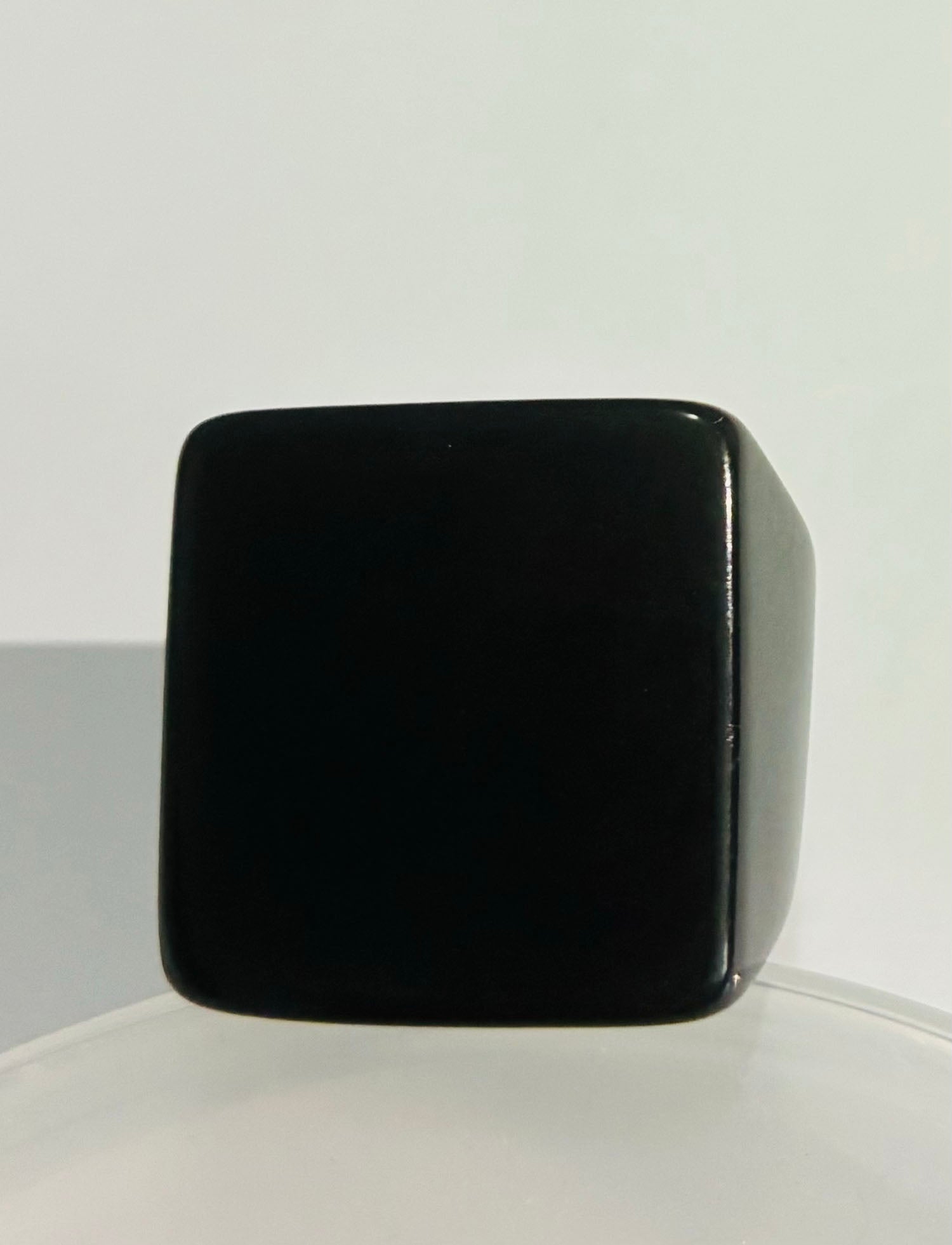 Black Tagua Statement Ring Amazonias