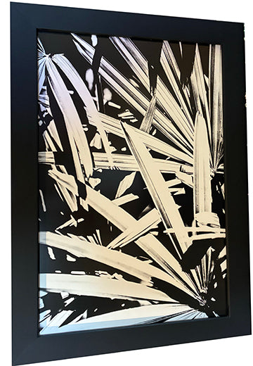 Lady Palm