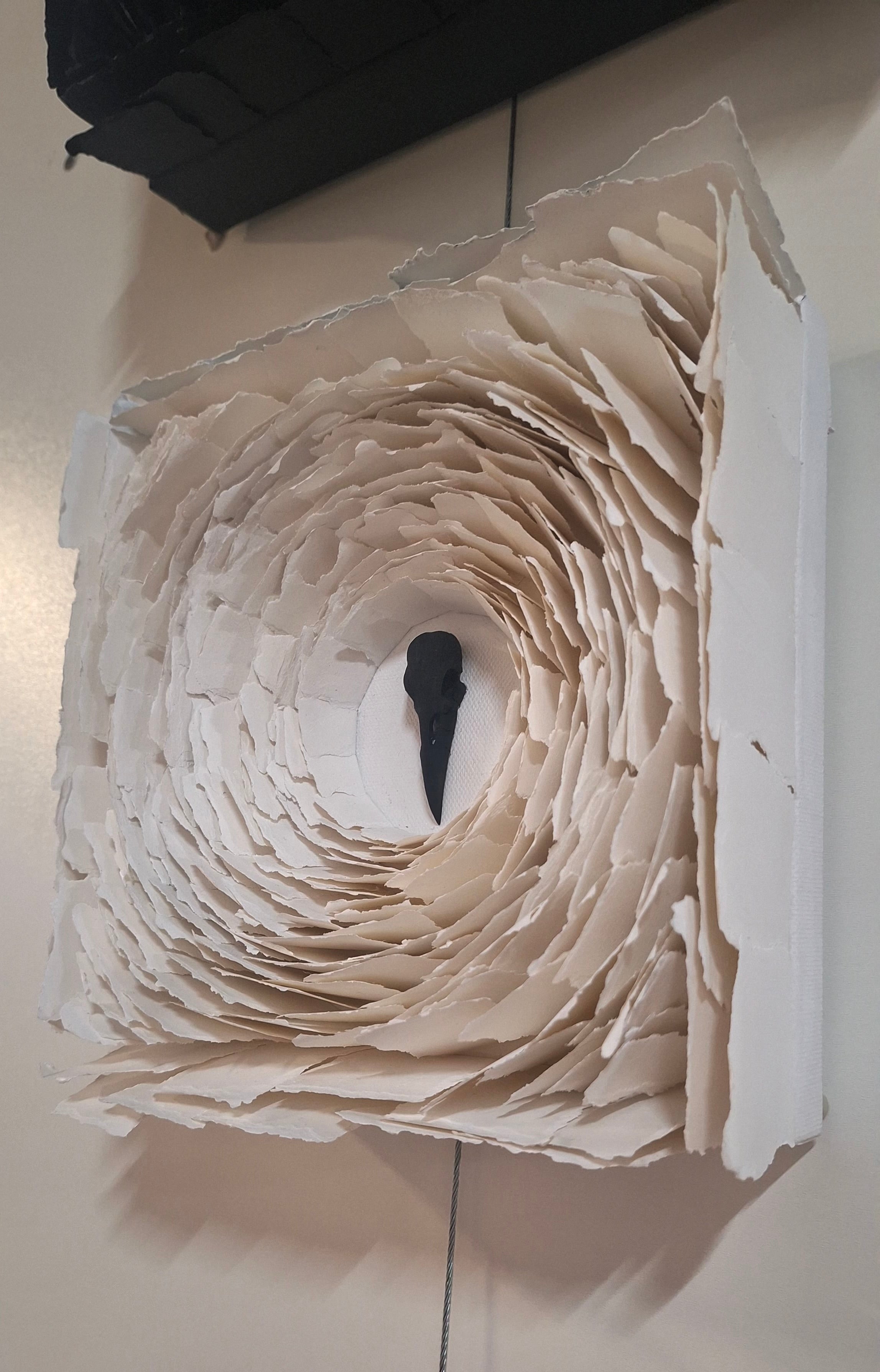 RAVEN SKULL